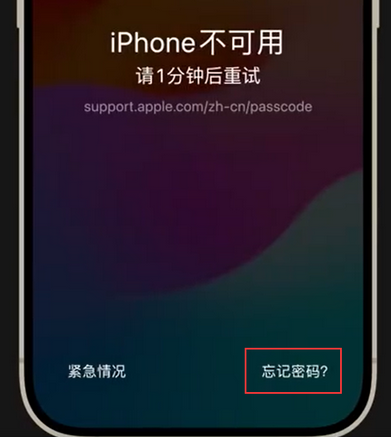元谋苹果手机密码维修分享iPhone忘记了刚设置的密码 